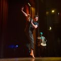 Night Out in the Parks: THE HEART OF THE STORY, in Chicago