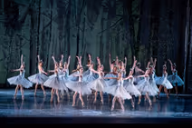 The Nutcracker