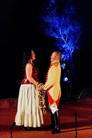 Opera, Wine & Dine - Carmen show poster