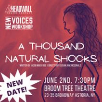 A Thousand Natural Shocks (New Voices Workshop Reading Series)