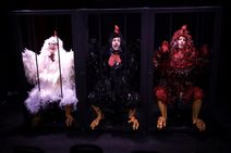 3 Chickens Confront Existence