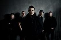 Street Dogs and Streetdogs