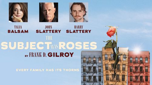 The Subject Was Roses show poster