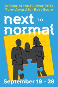 Next to Normal show poster