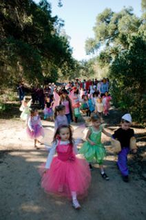 A Faery Hunt Magic in Sherwood Forest