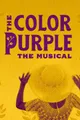 The Color Purple in Seattle