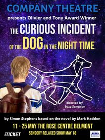 The Curious Incident of the Dog in the Night-Time show poster