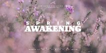 Spring Awakening 