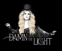 Damn The Light's Stevie Nicks Storyteller Tribute