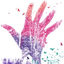 CCM Opera: Dark Sisters