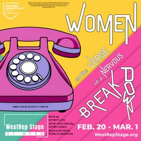 Women on the Verge of a Nervous Breakdown show poster