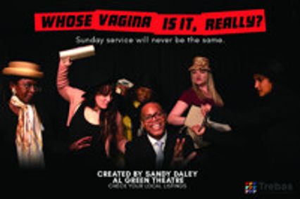 Whose Vagina Is It, Really? show poster
