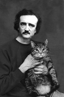 Edgar Allan Poe is Dead and So Is My Cat