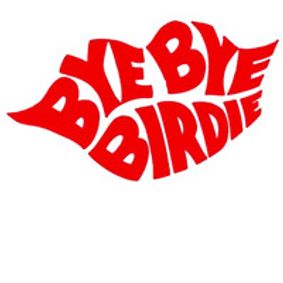 Bye Bye Birdie  show poster