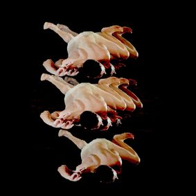 STATES: OBSERVATION A Butoh Dance Trilogy show poster