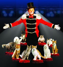 Popovich Comedy Pet Theater show poster