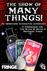 The Show of Many Things show poster