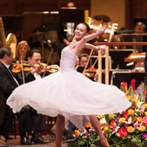 Salute to Vienna New Year's Concert