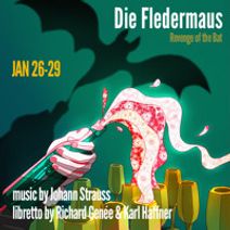 Die Fledermaus