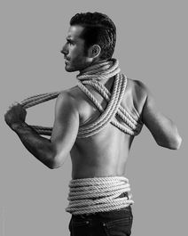 XIX Fuego Flamenco Festival: Lo Preciso