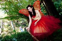 A Faery Hunt Amazing Adventure