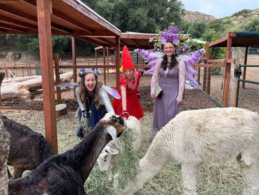 A Faery Hunt and Their Animal Friends show poster