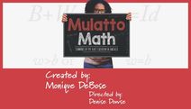 Edgy! Heartfelt! Enlightening! Mulatto Math: Summing Up the Race Equation in America