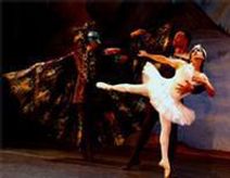 Less Ballets Eloelle Men In Pink Tights