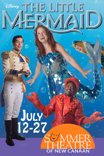 Disney's The Little Mermaid
