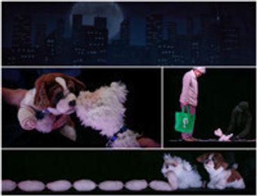 New Owner show poster