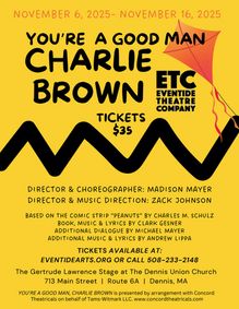 You're a Good Man Charlie Brown show poster