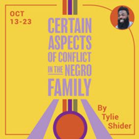 Certain Aspects of Conflict in the Negro Family show poster