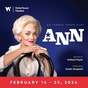 ANN show poster