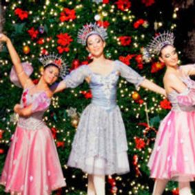 Ballet Fedotov's Nutcracker show poster