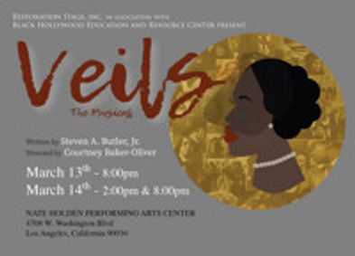 Veils show poster