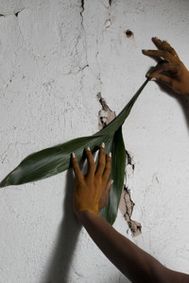 Cage-free & Non-conforming: A Long Table Conversation/Installation show poster