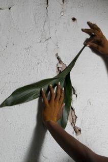 Cage-free & Non-conforming: A Long Table Conversation/Installation