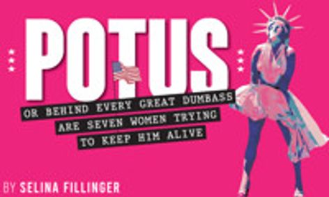 Potus: Or, Behind Every Great Dumbass Are Seven Women Trying To Keep Him Alive show poster