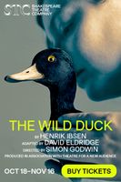The Wild Duck