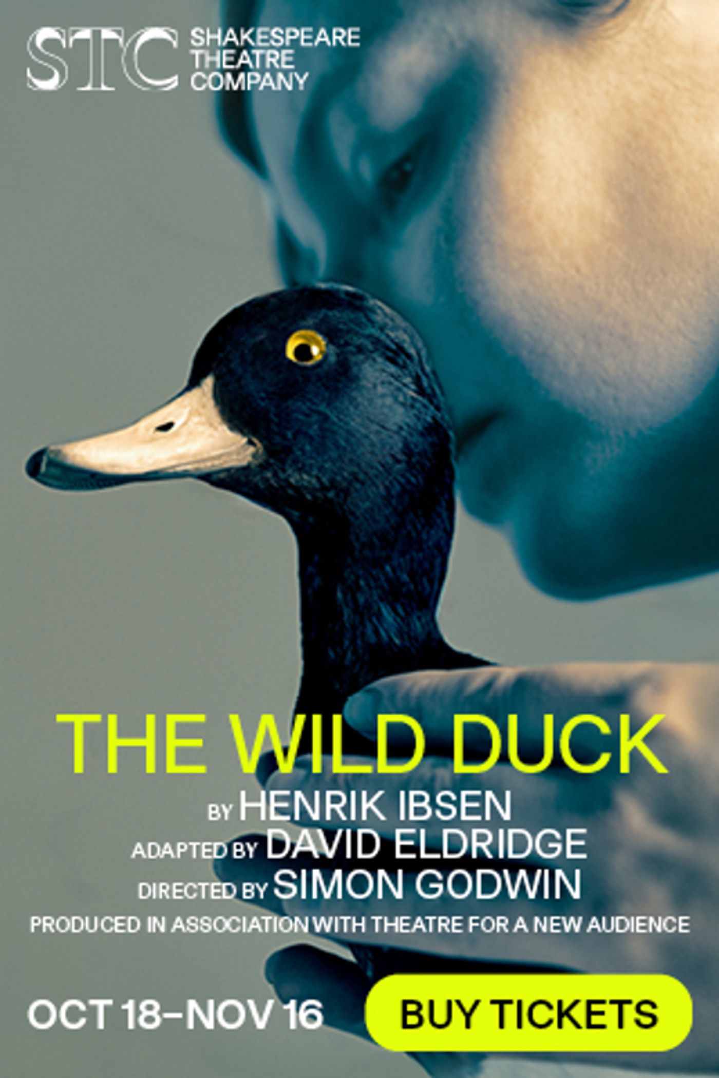 THE WILD DUCK & More Lead Washington, DC's November 2025 Top Theatre Shows  Image