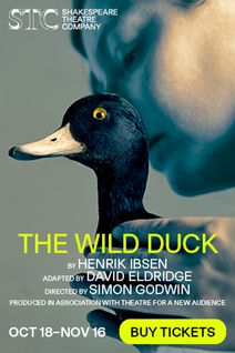 The Wild Duck