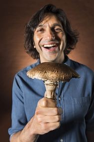 The Marsh San Francisco presents “The Mushroom Cure” show poster