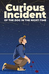 “The Curious Incident of the Dog in the Night-Time” show poster