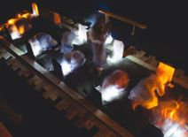 ArtsEmerson: Gardens Speak