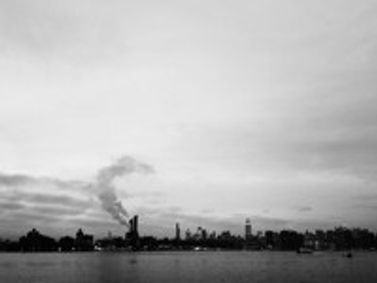 Blue Whale Heart show poster