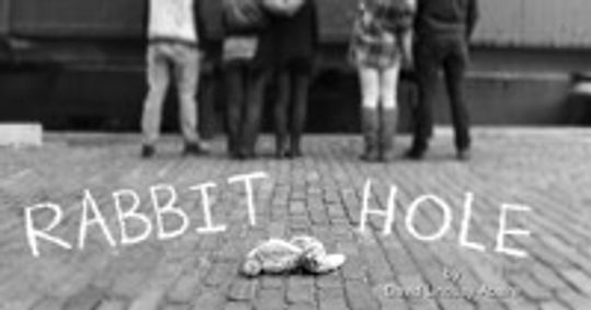 Rabbit Hole show poster