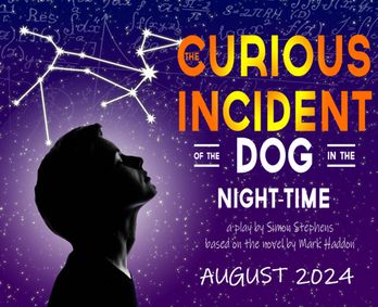 Curious Incident of the Dog in the Night Time show poster