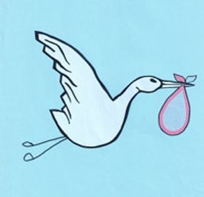 Baby on Board show poster