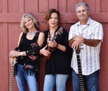 The Sweet Potatoes in Concert