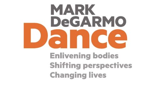 Calling all Dancers & Choreographers Developing Original Works-in-Progress! Less than 3 Weeks to Apply for ﻿VSPS 2025 show poster